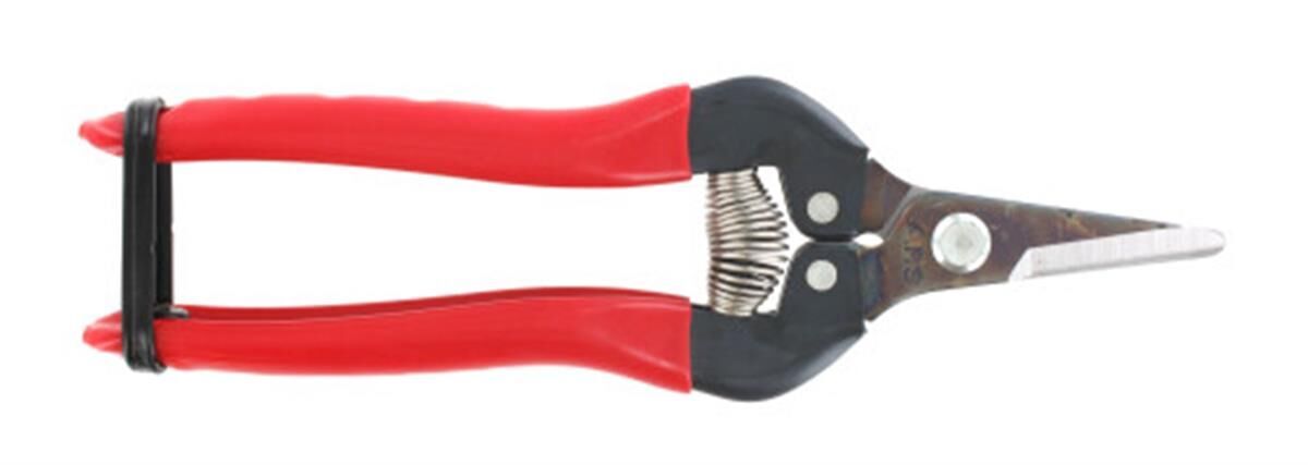 Fruitschaar 160 mm, recht, rood