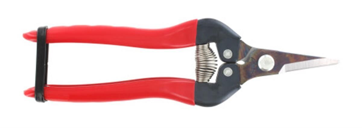 Fruitschaar 170 mm, recht, rood