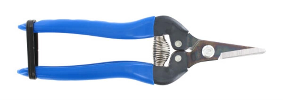 Fruitschaar 170 mm, recht, blauw