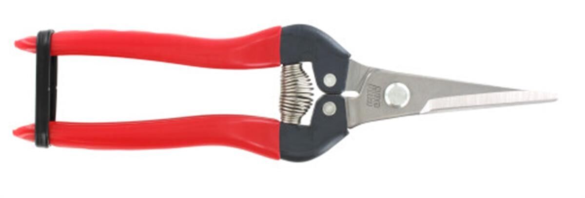 Fruitschaar 190 mm, RVS, recht, rood