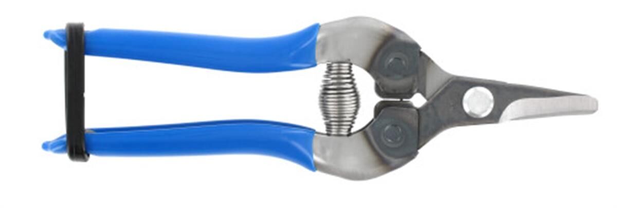 Fruitschaar 160 mm, gebogen, blauw