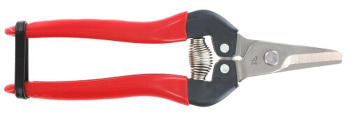 Fruitschaar 170 mm, RVS, gebogen, rood