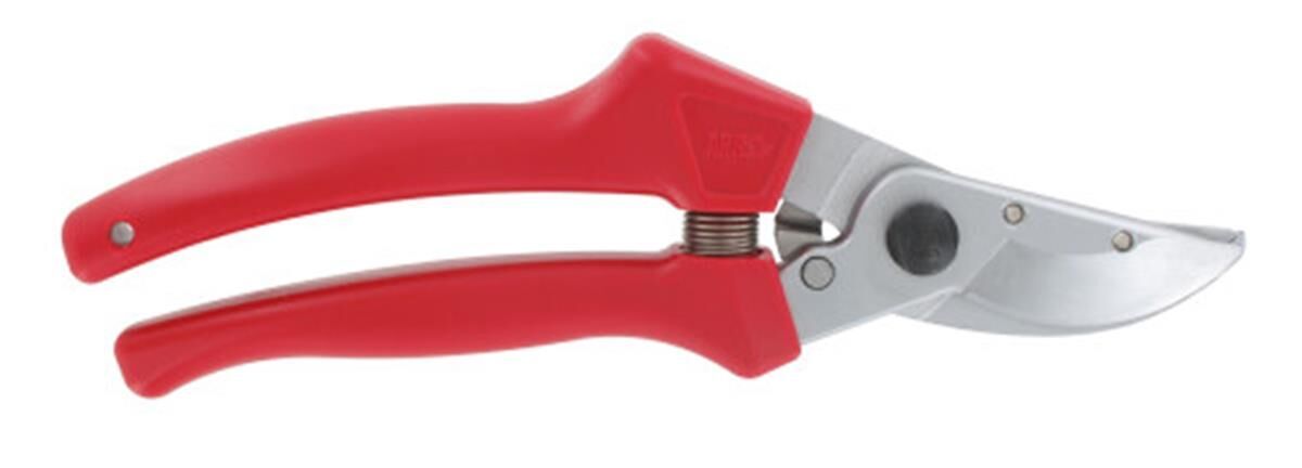 Rozenpresenteerschaar 210 mm, rood