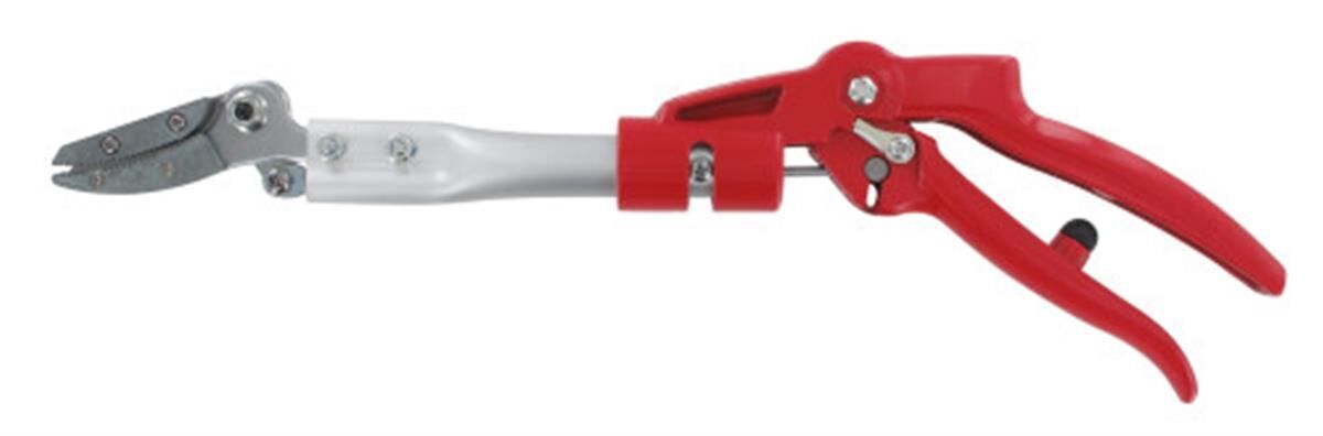 Rozenpresenteerschaar 350 mm, rood