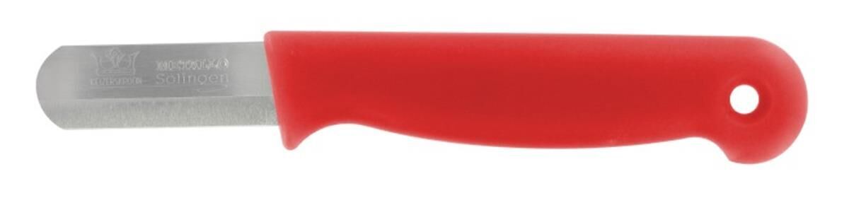 Bandstaalmes HACCP 45 mm, rond, rood (50st)