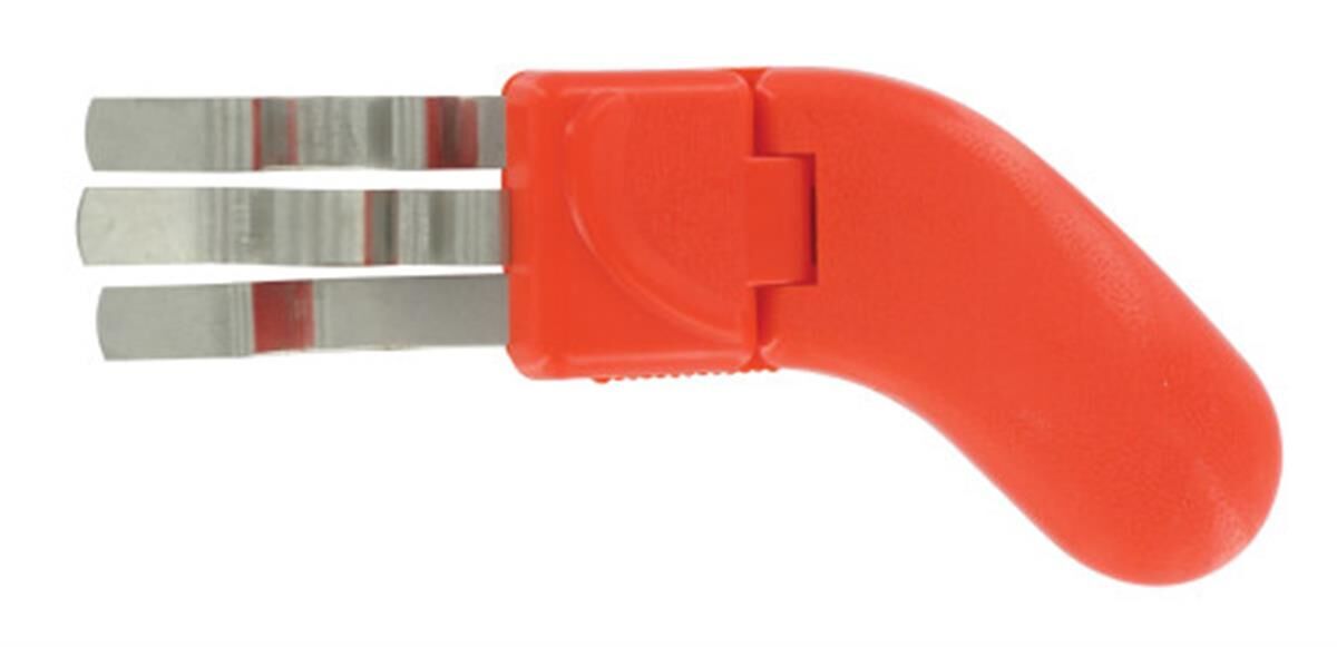 Rozenontdoorner Dornlos, rood