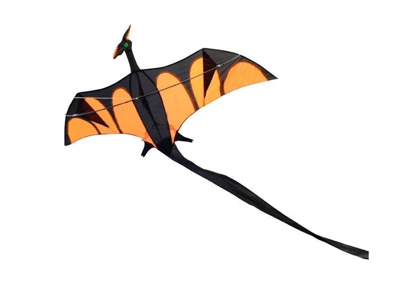 Kids kite DRAGON 170x90 + 300 cm staart