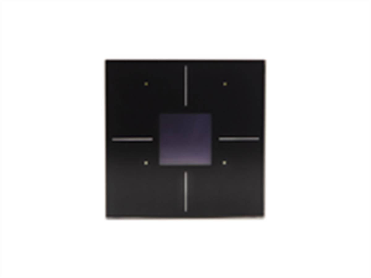 TOUCHPANEL MET 4 AANRAAKTOETSEN EN O-LED DISPLAY - ZWART